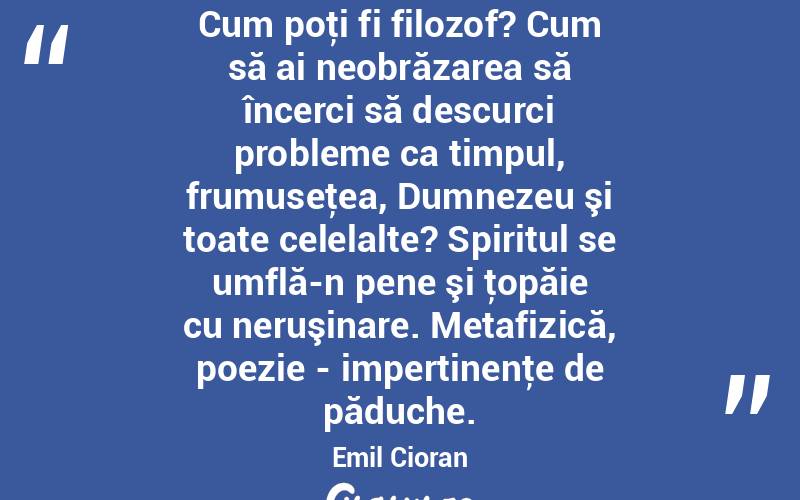 Cum poţi fi filozof? Cum să ai neobrăzarea să încerci să descurci probleme ca timpul, frumuseţea, Dumnezeu şi toate celelalte? Spiritul se umflă-n pene şi ţopăie cu neruşinare. Metafizică, poezie - impertinenţe de păduche. Emil Cioran
