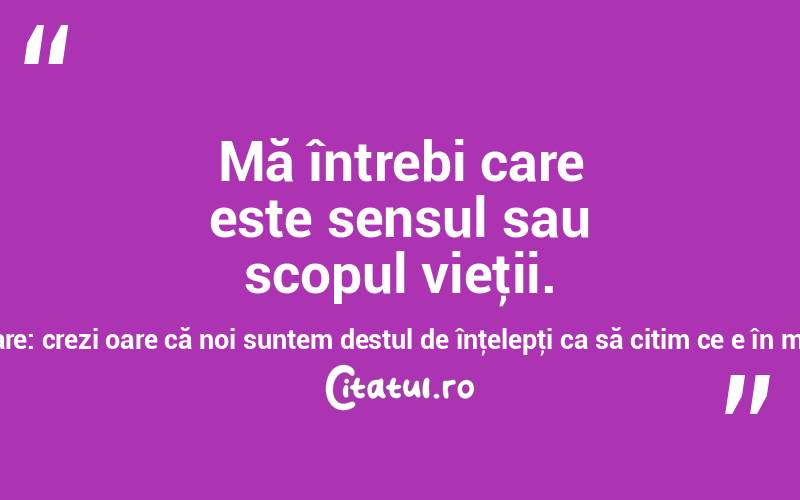 Mă întrebi care este sensul sau scopul vieţii. Pot răspunde numai cu o altă întrebare: crezi oare că noi suntem destul de înţelepţi ca să citim ce e în mintea lui Dumnezeu? Freeman Dyson