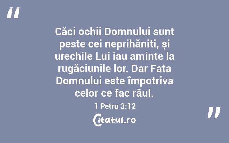Căci ochii Domnului sunt peste cei neprihăniți, și urechile Lui iau aminte la rugăciunile lor. Dar Fața Domnului este împotriva celor ce fac răul. 1 Petru 3:12