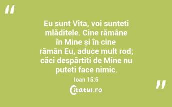 Eu sunt Vița, voi sunteți mlădițele. Cine rămâne în Mine și în cine rămân Eu, aduce mult rod; căci despărțiți de Mine nu puteți face nimic. Ioan 15:5...