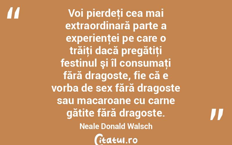 Voi pierdeţi cea mai extraordinară parte a experienţei pe care o trăiţi dacă pregătiţi festinul şi îl consumaţi fără dragoste, fie că e vorba de sex fără dragoste sau macaroane cu carne gătite fără dragoste. Neale Donald Walsch