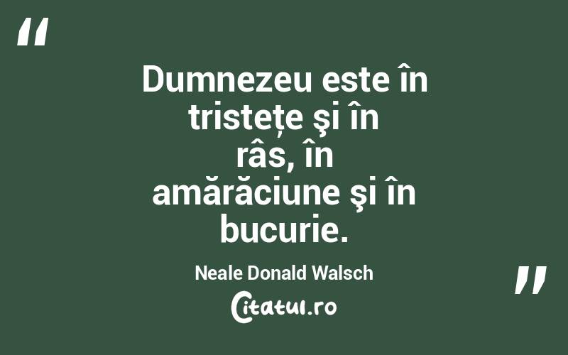 Dumnezeu este în tristeţe şi în râs, în amărăciune şi în bucurie. Neale Donald Walsch
