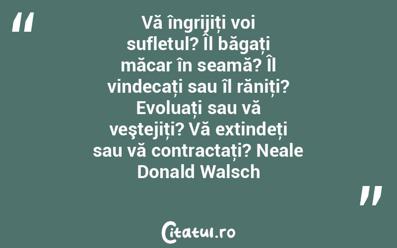 Vă îngrijiţi voi sufletul? Îl băgaţi măcar în seamă? Îl vindecaţi sau îl răniţi? Evoluaţi sau vă veştejiţi? Vă extindeţi sau vă contractaţi? Neale Donald Walsch