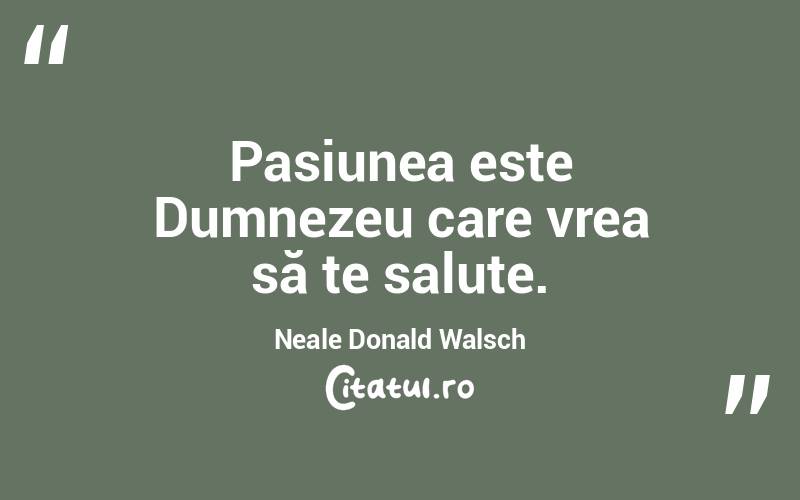 Pasiunea este Dumnezeu care vrea să te salute. Neale Donald Walsch