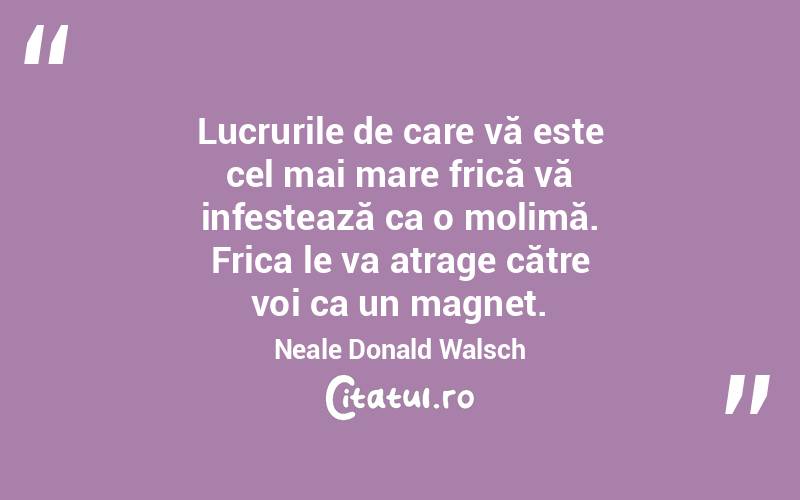 Lucrurile de care vă este cel mai mare frică vă infestează ca o molimă. Frica le va atrage către voi ca un magnet. Neale Donald Walsch