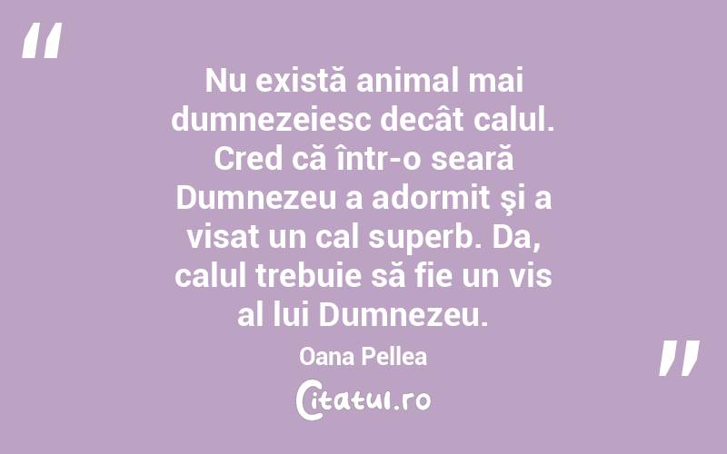 Nu există animal mai dumnezeiesc decât calul. Cred că într-o seară Dumnezeu a adormit şi a visat un cal superb. Da, calul trebuie să fie un vis al lui Dumnezeu. Oana Pellea