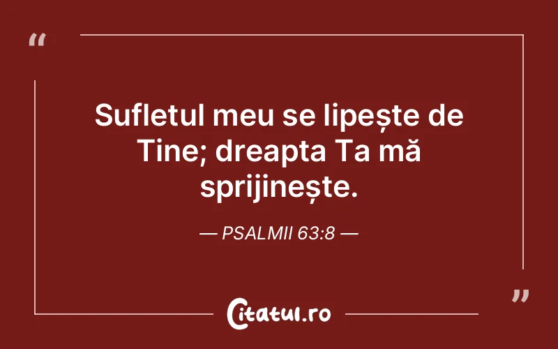 Sufletul meu se lipește de Tine; dreapta Ta mă sprijinește. Psalmii 63:8