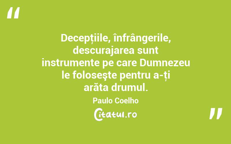 Decepţiile, înfrângerile, descurajarea sunt instrumente pe care Dumnezeu le foloseşte pentru a-ţi arăta drumul. Paulo Coelho