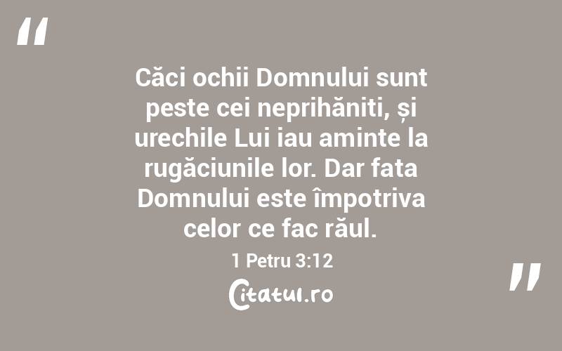 Căci ochii Domnului sunt peste cei neprihăniți, și urechile Lui iau aminte la rugăciunile lor. Dar fața Domnului este împotriva celor ce fac răul. 1 Petru 3:12