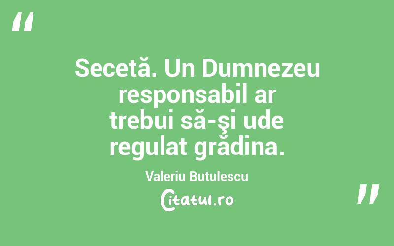 Secetă. Un Dumnezeu responsabil ar trebui să-şi ude regulat grădina. Valeriu Butulescu