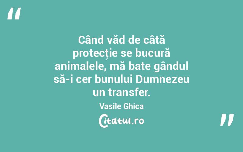 Când văd de câtă protecţie se bucură animalele, mă bate gândul să-i cer bunului Dumnezeu un transfer. Vasile Ghica