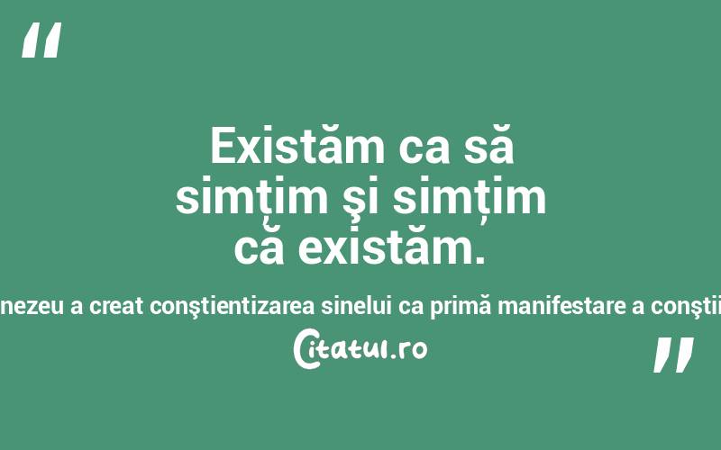 Existăm ca să simţim şi simţim că existăm. Dumnezeu a creat conştientizarea sinelui ca primă manifestare a conştiinţei!  