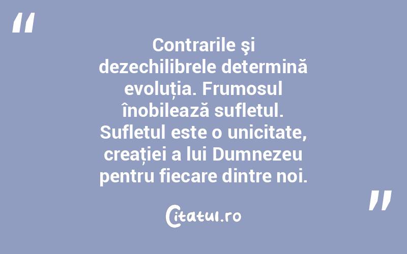 Contrarile şi dezechilibrele determină evoluţia. Frumosul înobilează sufletul. Sufletul este o unicitate, creaţiei a lui Dumnezeu pentru fiecare dintre noi.  
