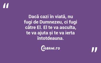 Dacă cazi în viață, nu fugi de Dumnezeu, ci fugi către El. El te va asculta, te va ajuta și te va ierta întotdeauna....