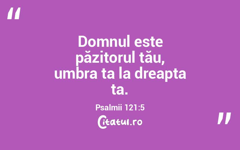 Domnul este păzitorul tău, umbra ta la dreapta ta. Psalmii 121:5