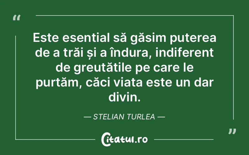 Este esențial să găsim puterea de a trăi și a îndura, indiferent de greutățile pe care le purtăm, căci viața este un dar divin. Stelian Turlea