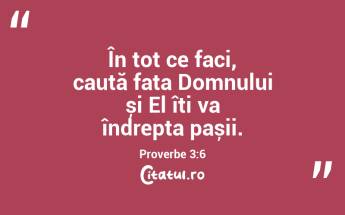 În tot ce faci, caută fața Domnului și El îți va îndrepta pașii. Proverbe 3:6...