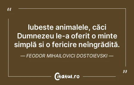 Iubește animalele, căci Dumnezeu le-a ...
