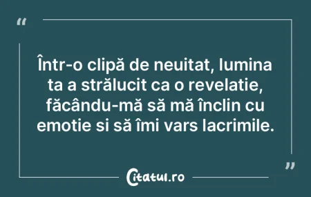 Într-o clipă de neuitat, lumina ta a s... Într-o clipă de neuitat, lumina ta a s...