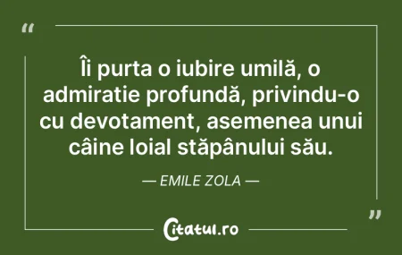 Îi purta o iubire umilă, o admirație ... Îi purta o iubire umilă, o admirație ...