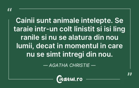 Cainii sunt animale intelepte. Se taraie... Cainii sunt animale intelepte. Se taraie...