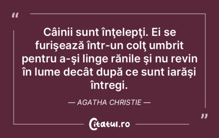 Câinii sunt înţelepţi. Ei se furişe... Câinii sunt înţelepţi. Ei se furişe...