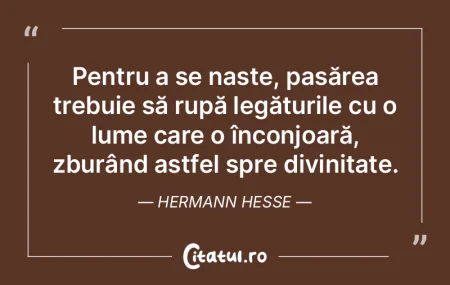 Pentru a se naște, pasărea trebuie să... Pentru a se naște, pasărea trebuie să...
