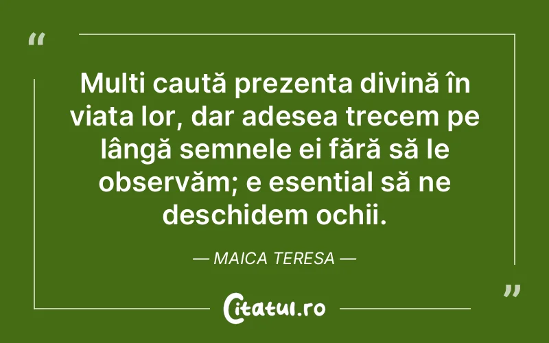 Citat Maica Teresa - citate crestine