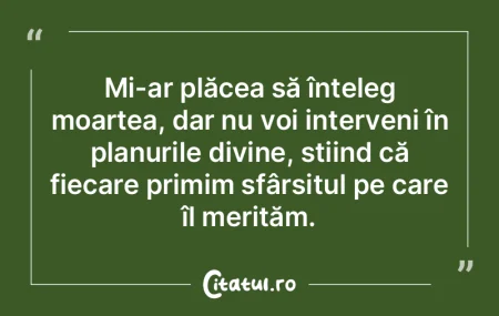 Mi-ar plăcea să înțeleg moartea, dar... Mi-ar plăcea să înțeleg moartea, dar...