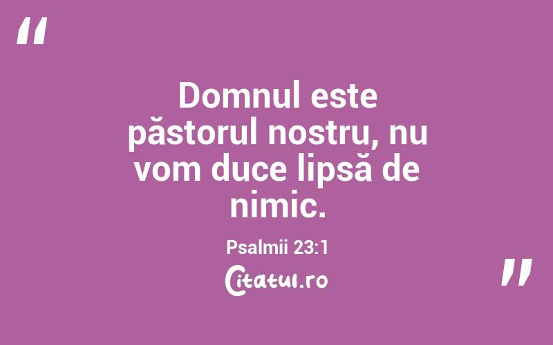 Domnul este păstorul nostru, nu vom duce lipsă de nimic. Psalmii 23:1
