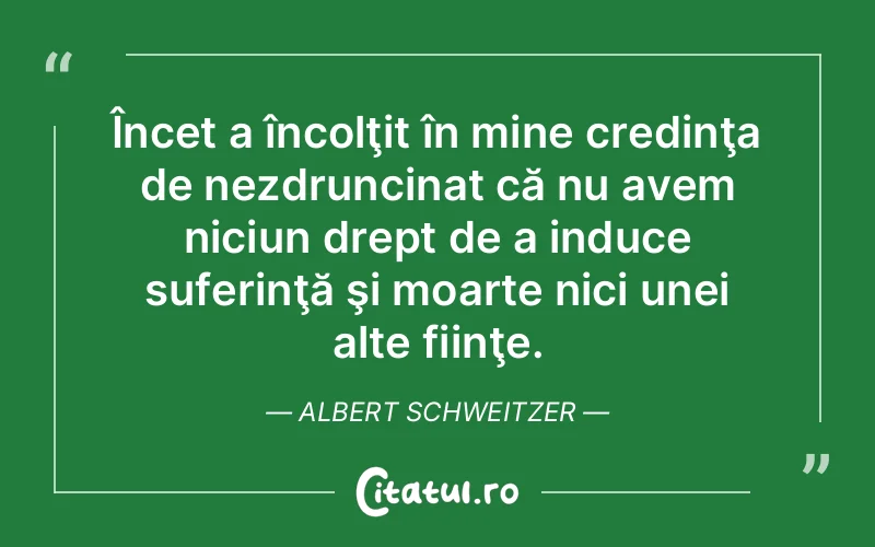 Citat Albert Schweitzer - citate crestine