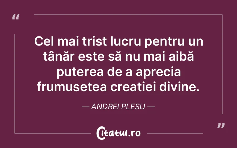 Cel mai trist lucru pentru un tânăr este să nu mai aibă puterea de a aprecia frumusețea creației divine. Andrei Plesu