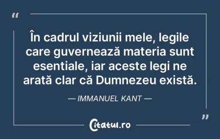 În cadrul viziunii mele, legile care gu... În cadrul viziunii mele, legile care gu...