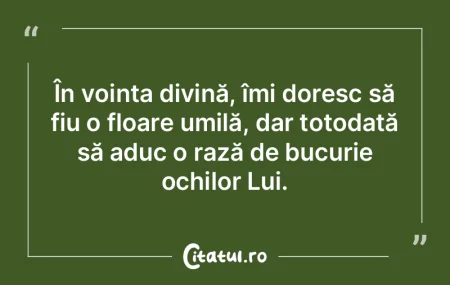 În voința divină, îmi doresc să fiu... În voința divină, îmi doresc să fiu...