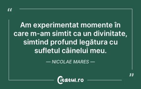 Am experimentat momente în care m-am si... Am experimentat momente în care m-am si...