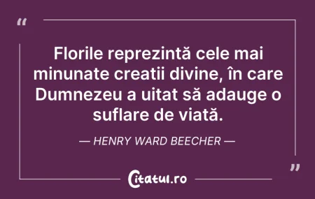 Florile reprezintă cele mai minunate cr...