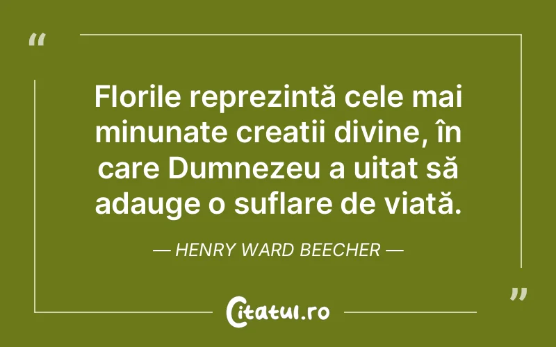 Citat Henry Ward Beecher - citate crestine