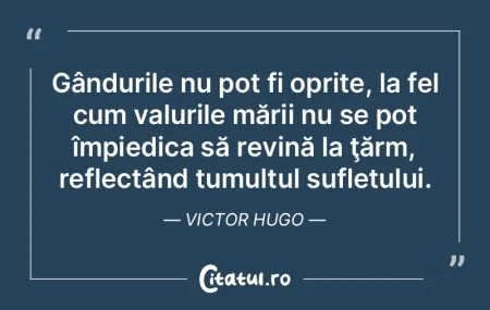 Gândurile nu pot fi oprite, la fel cum ... Gândurile nu pot fi oprite, la fel cum ...