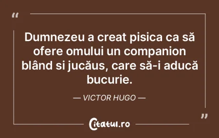 Dumnezeu a creat pisica ca să ofere omu... Dumnezeu a creat pisica ca să ofere omu...