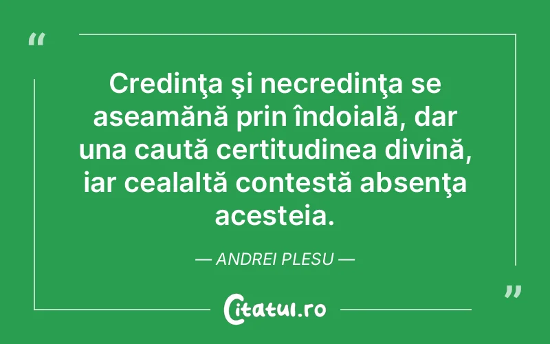 Citat Andrei Plesu - citate crestine