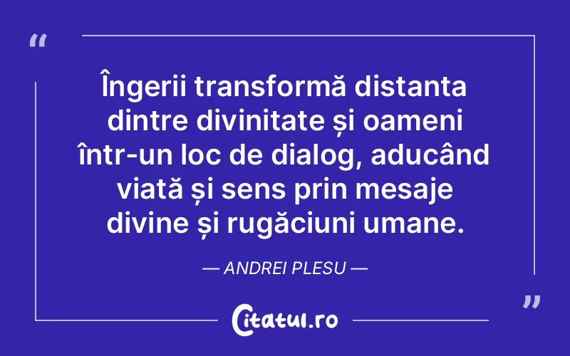 Citat Andrei Plesu - citate crestine