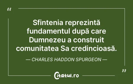 Sfințenia reprezintă fundamentul după... Sfințenia reprezintă fundamentul după...