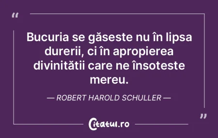 Bucuria se găsește nu în lipsa dureri... Bucuria se găsește nu în lipsa dureri...