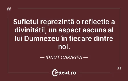 Sufletul reprezintă o reflecție a divi... Sufletul reprezintă o reflecție a divi...