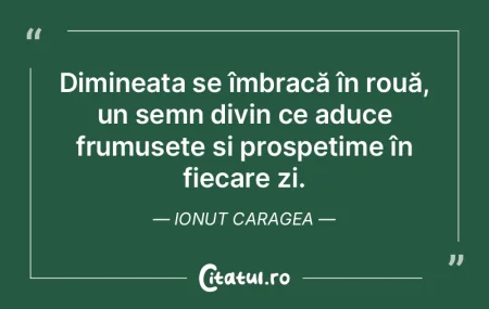 Dimineața se îmbracă în rouă, un se... Dimineața se îmbracă în rouă, un se...