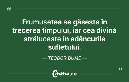 Frumusețea se găsește în trecerea ti... Frumusețea se găsește în trecerea ti...