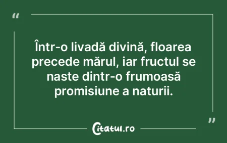 Într-o livadă divină, floarea precede... Într-o livadă divină, floarea precede...