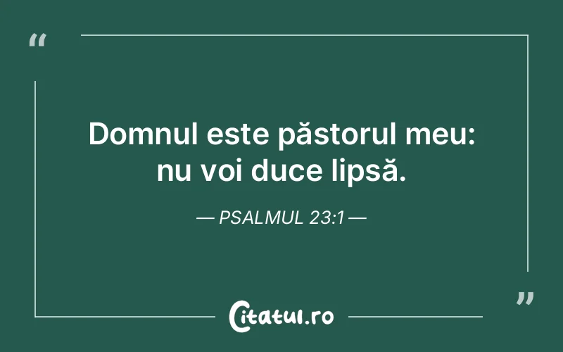 Domnul este păstorul meu: nu voi duce lipsă. Psalmul 23:1