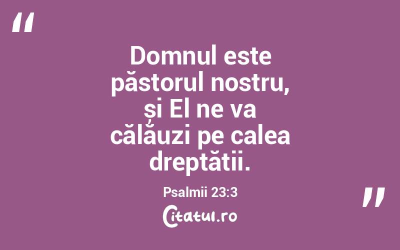 Domnul este păstorul nostru, și El ne va călăuzi pe calea dreptății. Psalmii 23:3
