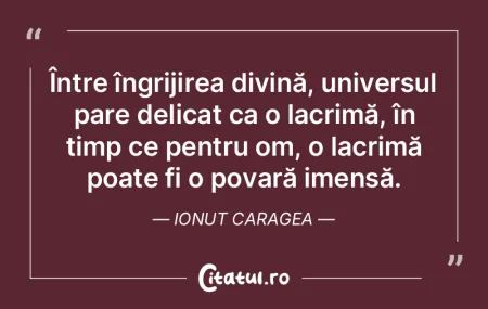 Între îngrijirea divină, universul pa... Între îngrijirea divină, universul pa...
